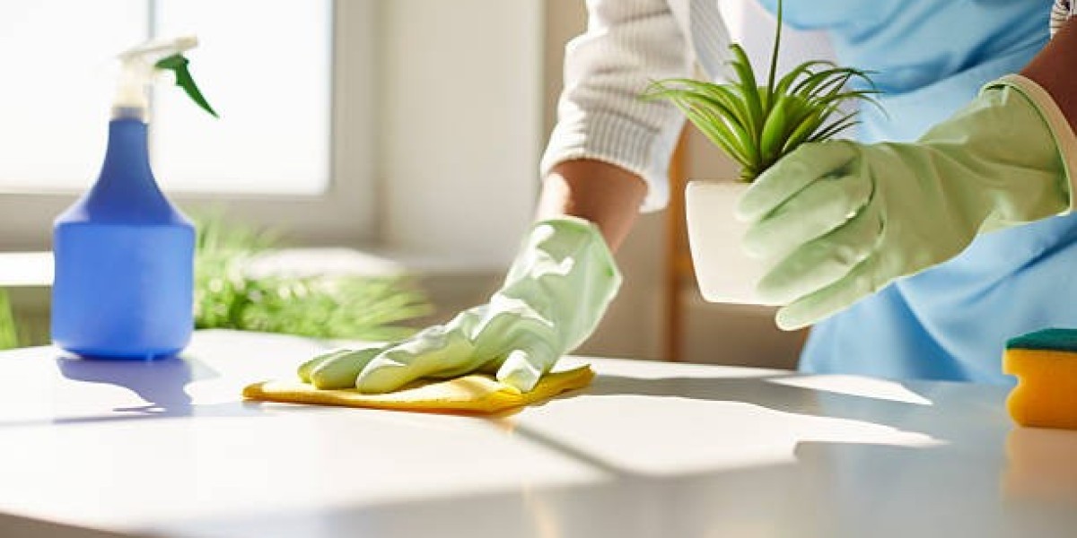 Professional House Cleaning for Quality