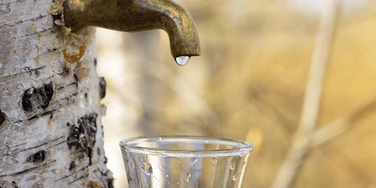 Plant-based Water