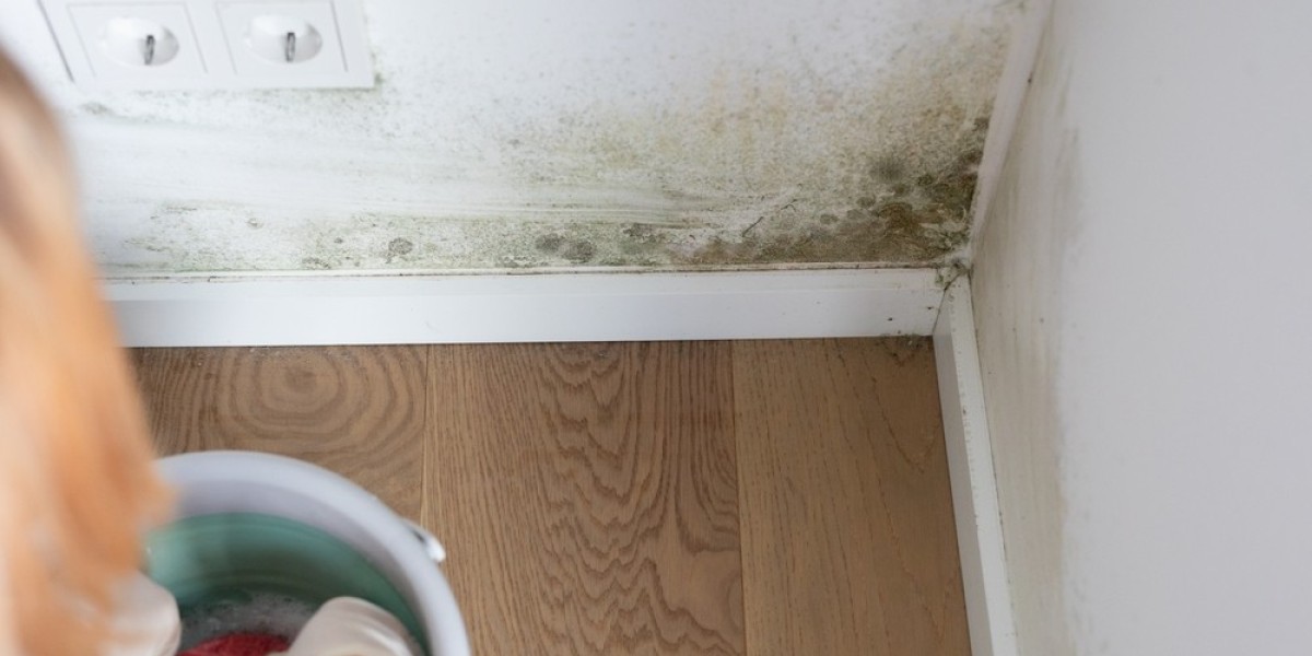 Beyond Visible Mold and Moisture