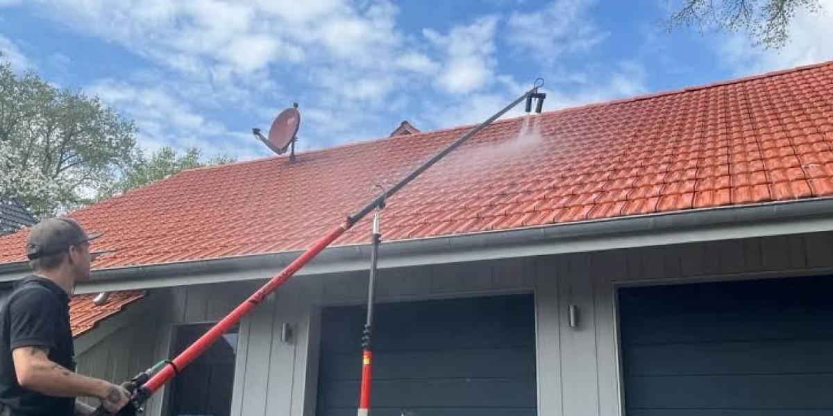 Professional Roof Cleaning to Help Protect Your
