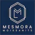 mesmora team Profile Picture