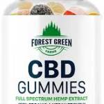 Forest Green Farms Profile Picture
