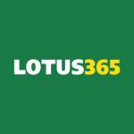 Lotus365 Profile Picture