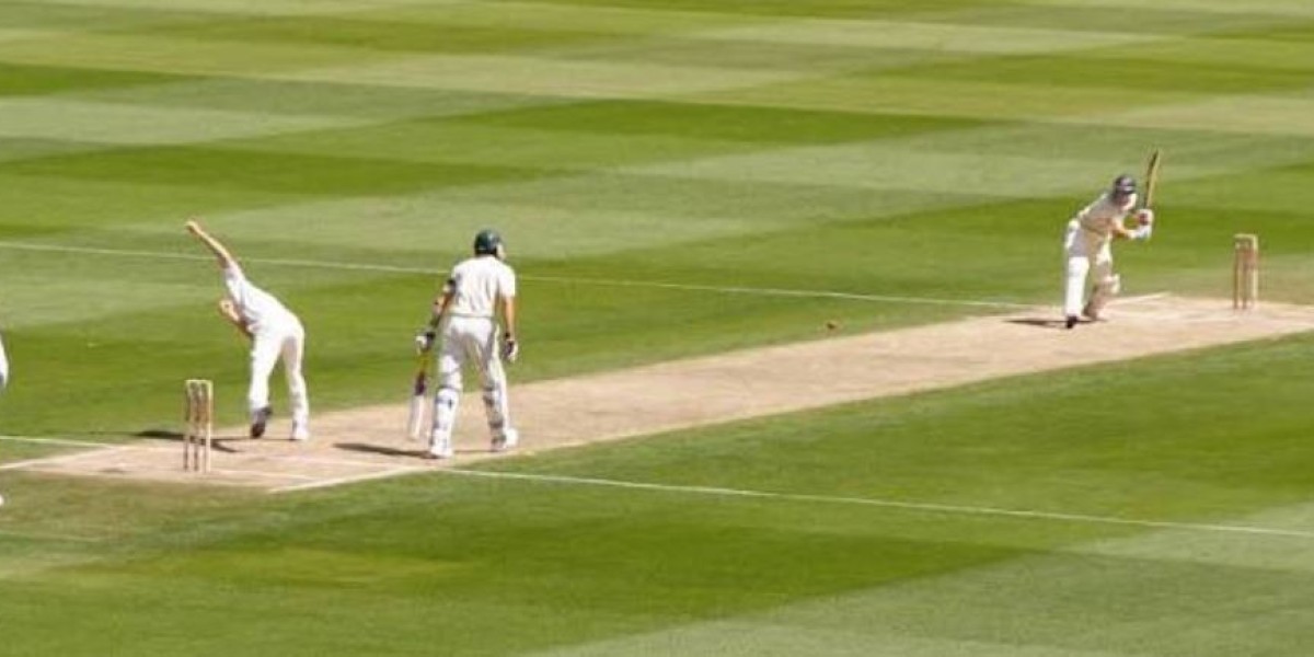 Cricket Trends Shaping the Game in 2026