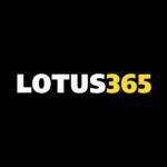 Lotus365 Boats Profile Picture