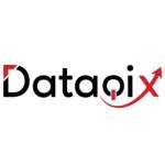 data qix Profile Picture