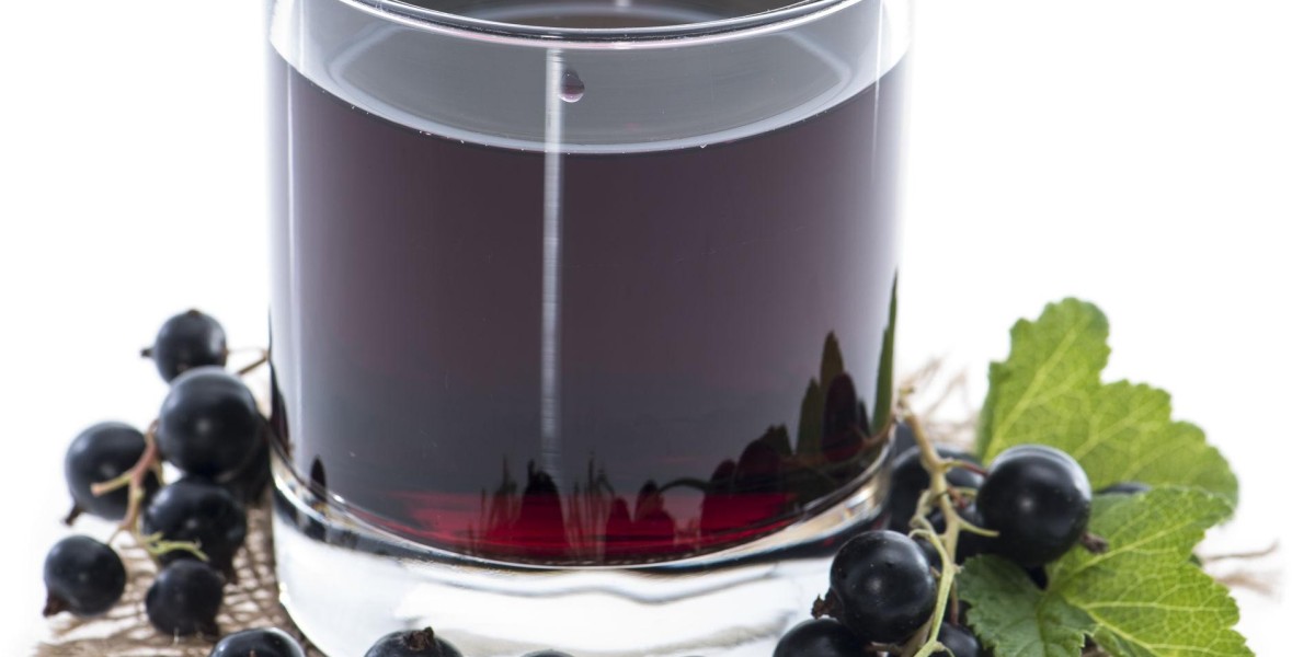 Black Current Extract Market Intelligence