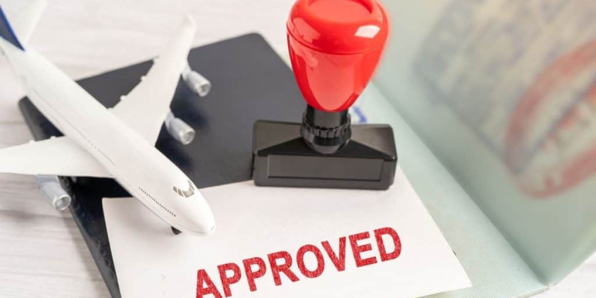 What Can Visa Assistance Do for International T