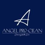Angel Pro- Clean Profile Picture