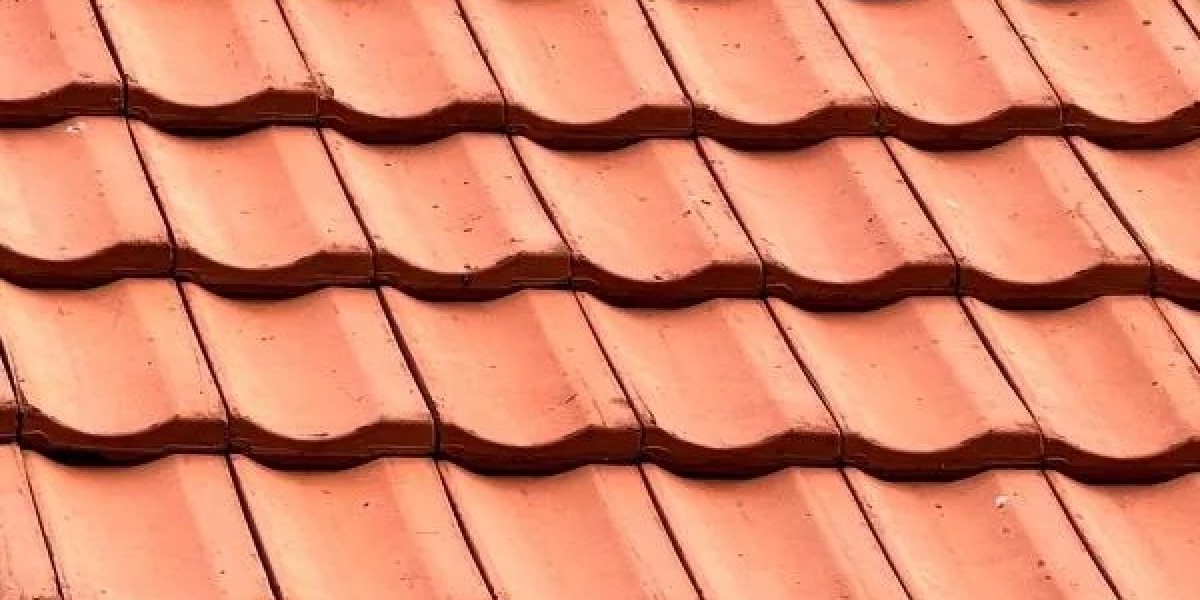 Roof Cleaning Specialists Helping Restore Your