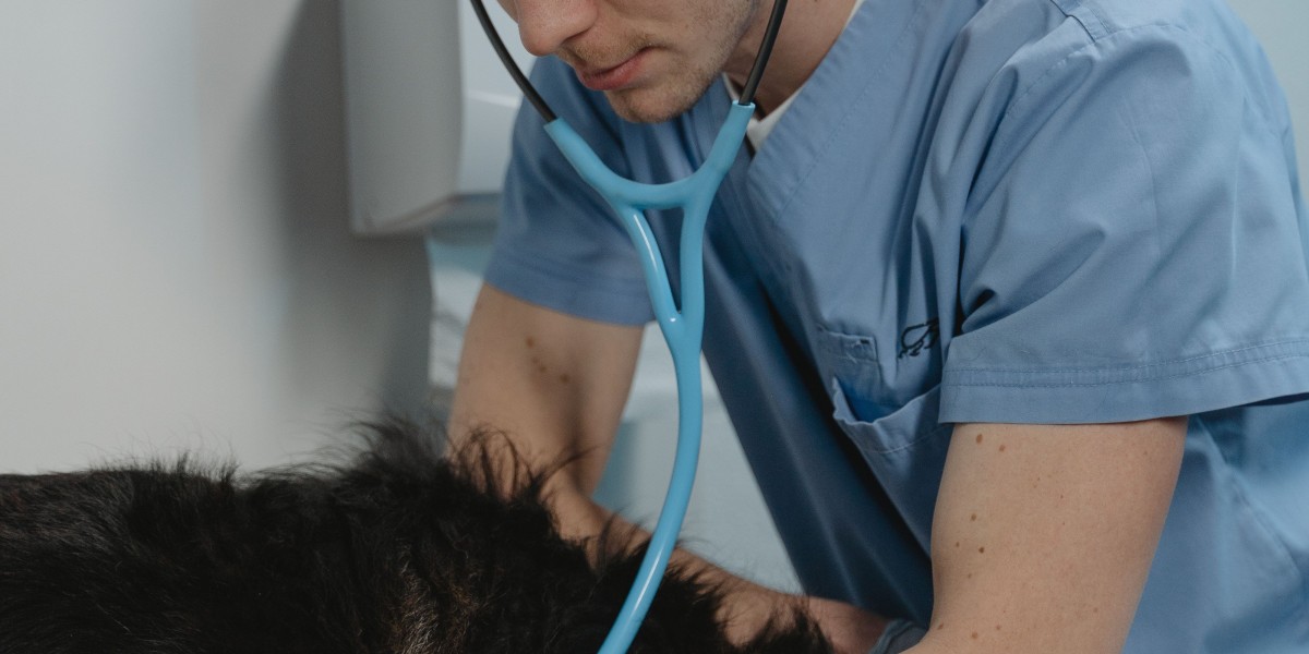 Veterinary Endoscope Market Landscape