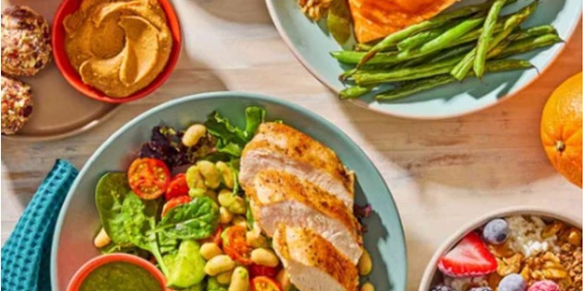 Best Doctor for Weight Loss: Understanding