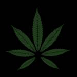 Thc Vape Profile Picture