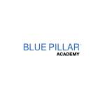 Blue Pillar Academy Profile Picture