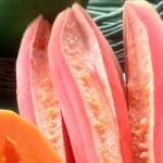 EFSFSEF Profile Picture