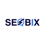 Seo Bix Profile Picture