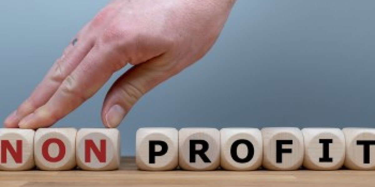 Nonprofit Organization Management