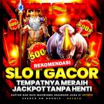 sosip sosip1 Profile Picture