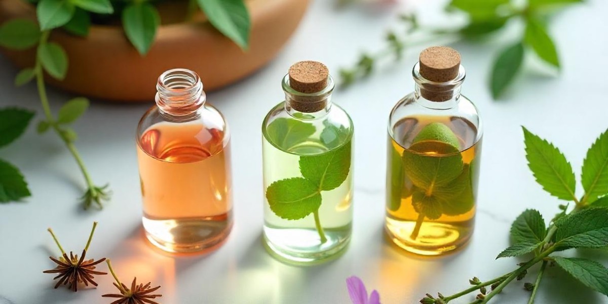 Beverage Botanical Extracts Market Demand.
