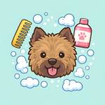 Sully Zoupa Profile Picture