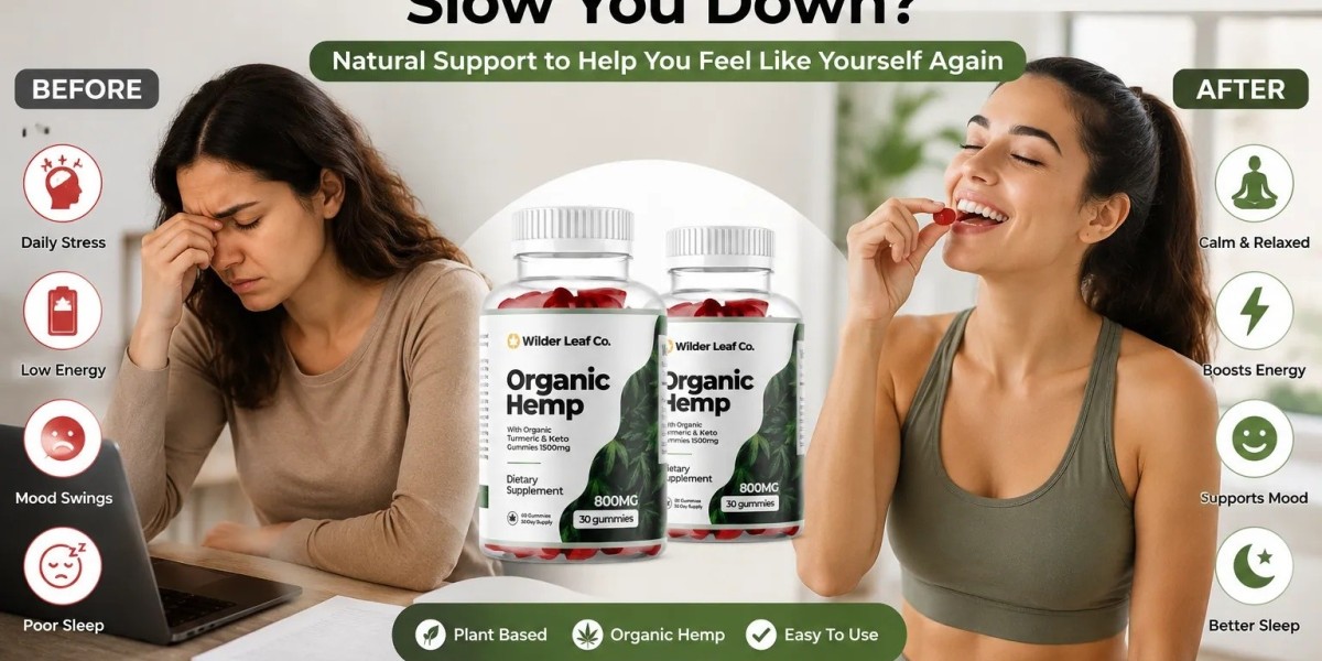Wilder Leaf Organic Hemp Explained: 2026