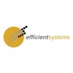 Efficient Systems Pte Ltd Profile Picture