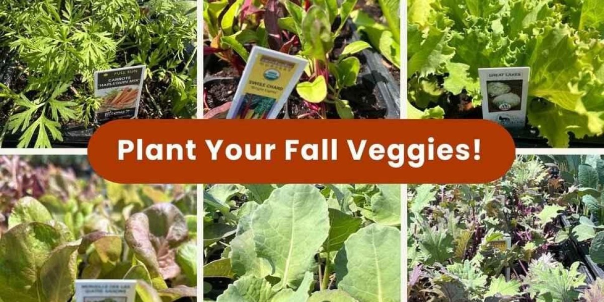 Fall Edible Garden Plants for East Bay Gardens