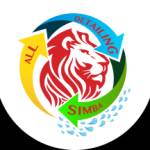 All Detailing Simba Profile Picture