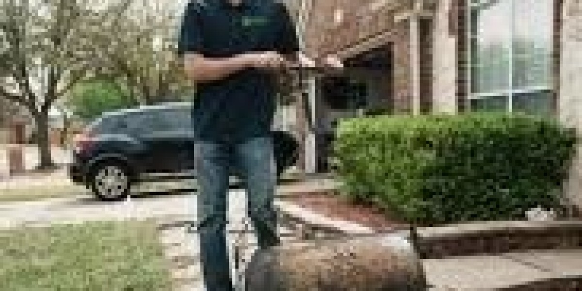 Hiring Landscapers in Mansfield A Homeowner's