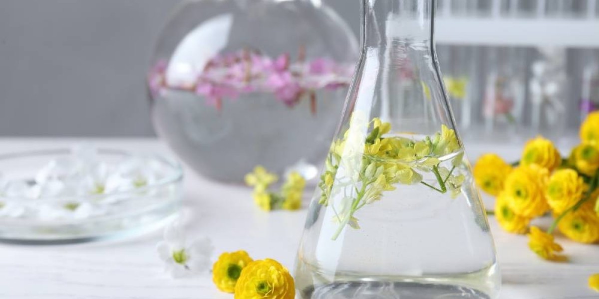 Botanical Extracts Market Innovation Trends.