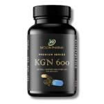 KGN 600 Ukraine Profile Picture