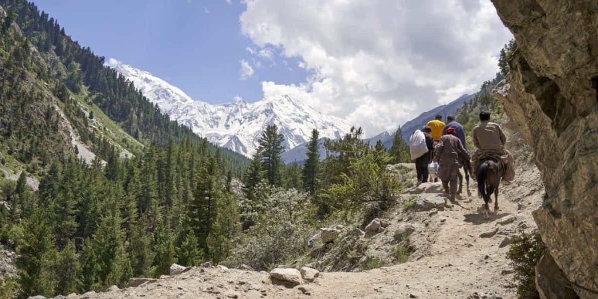 Fairy Meadows Trek 2026 | Explore Pakistan’s Al