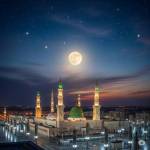 Qalam Travels Profile Picture