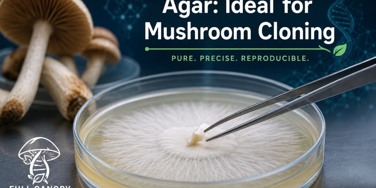Why Agar Is the Perfect Medium for Mushroom Clo
