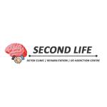 Second Life Foundation Profile Picture