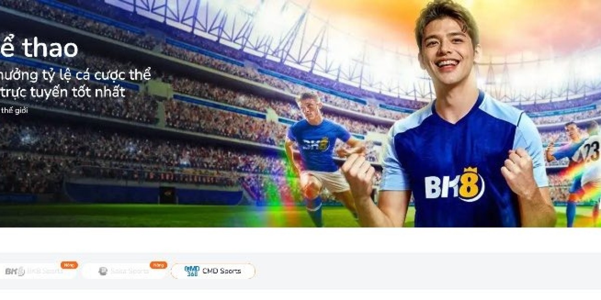 Trang Web Cá Độ Bóng Đá Của Việt Nam – Khám Phá