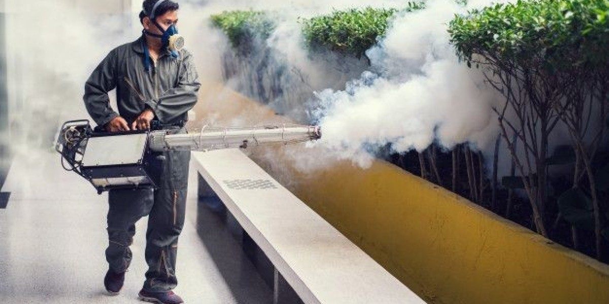 Fumigation Services: Complete Guide to Termite