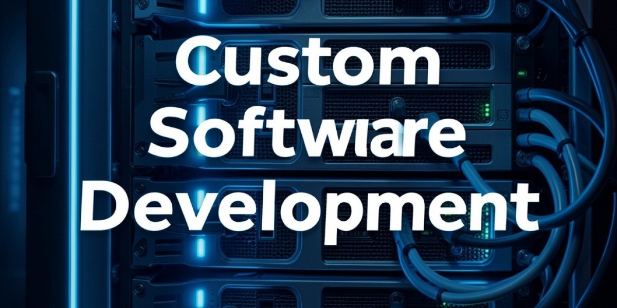 Custom Software Development for Efficient Repai