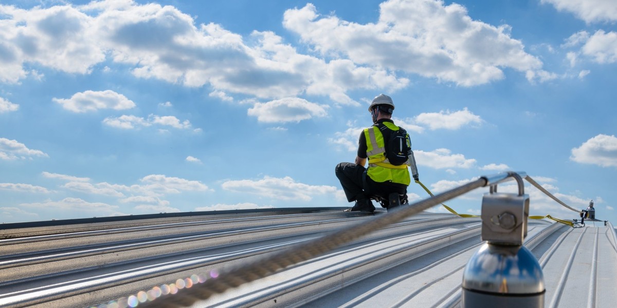 Product Fall Protection Systems Market