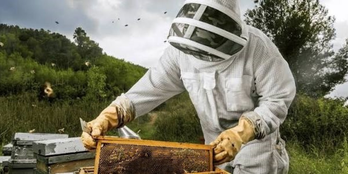 Pest Control SEO Services: Grow Your Business