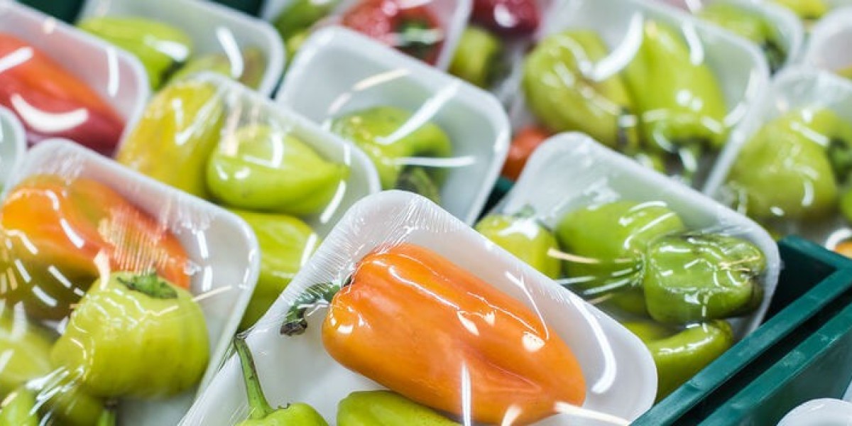 Plastic Protective Packaging Market Research