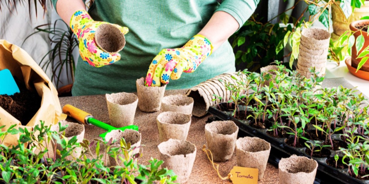 How Are Sustainable Gardening Practices Gaining