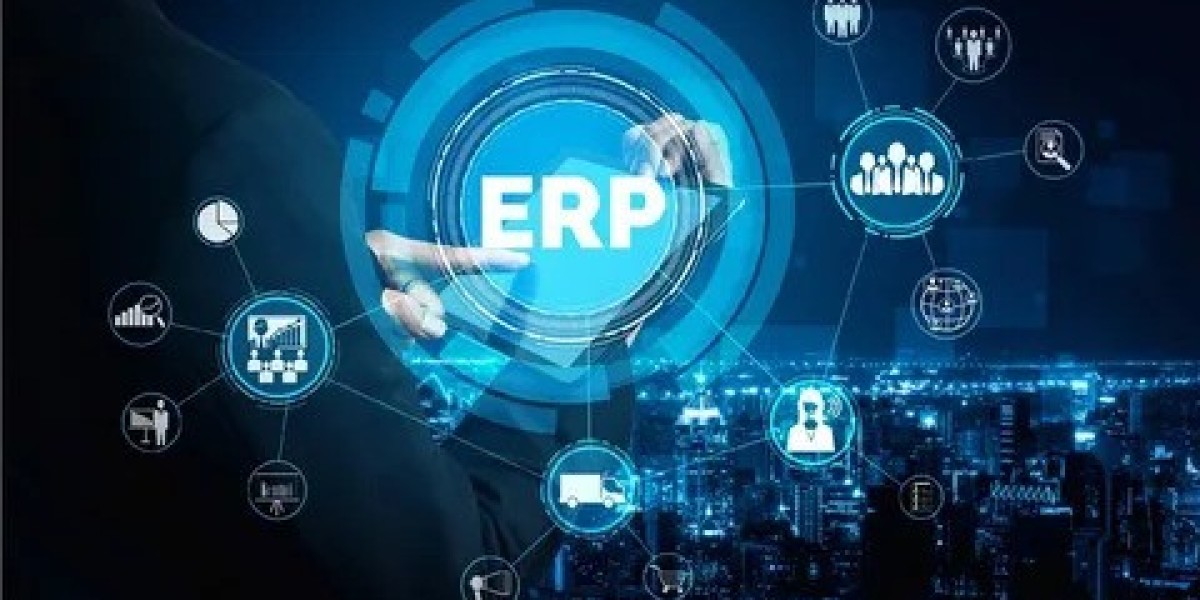 ERP Software in Dubai for Growing Businesses