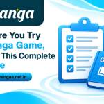 tiranga game Profile Picture