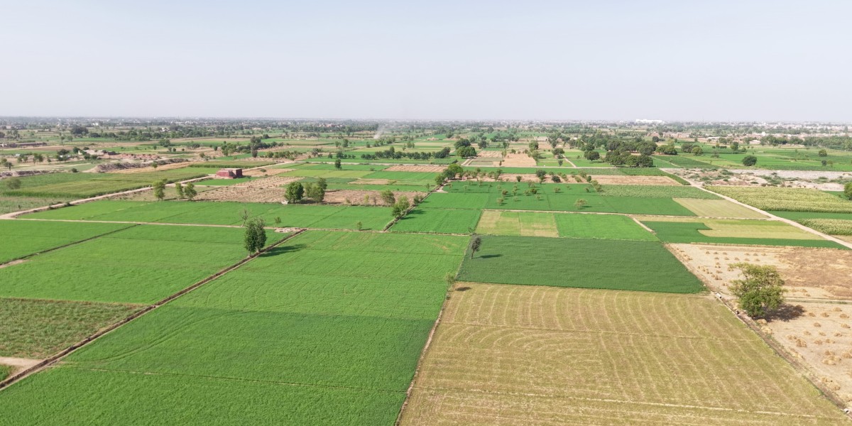 A Simple Guide to Finding Fertile Soil for Farm
