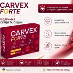 Carvex Forte Ukraine Profile Picture