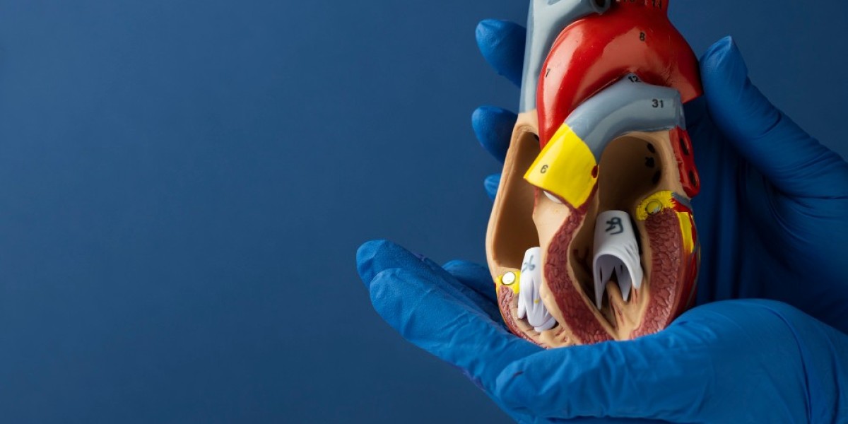How to Choose the Best Cardiac Surgeon in India
