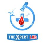 expert lab Profile Picture