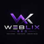 weblixseo Profile Picture