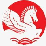 singhal global Profile Picture